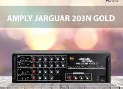 Tại sao nên chọn amply Jarguar 203N Gold cho dàn karaoke gia đình?